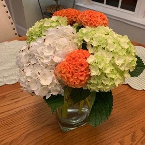 Meet your Posher, Catherine